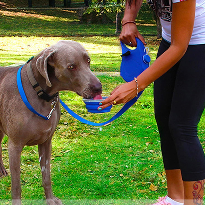 Correa multifunción